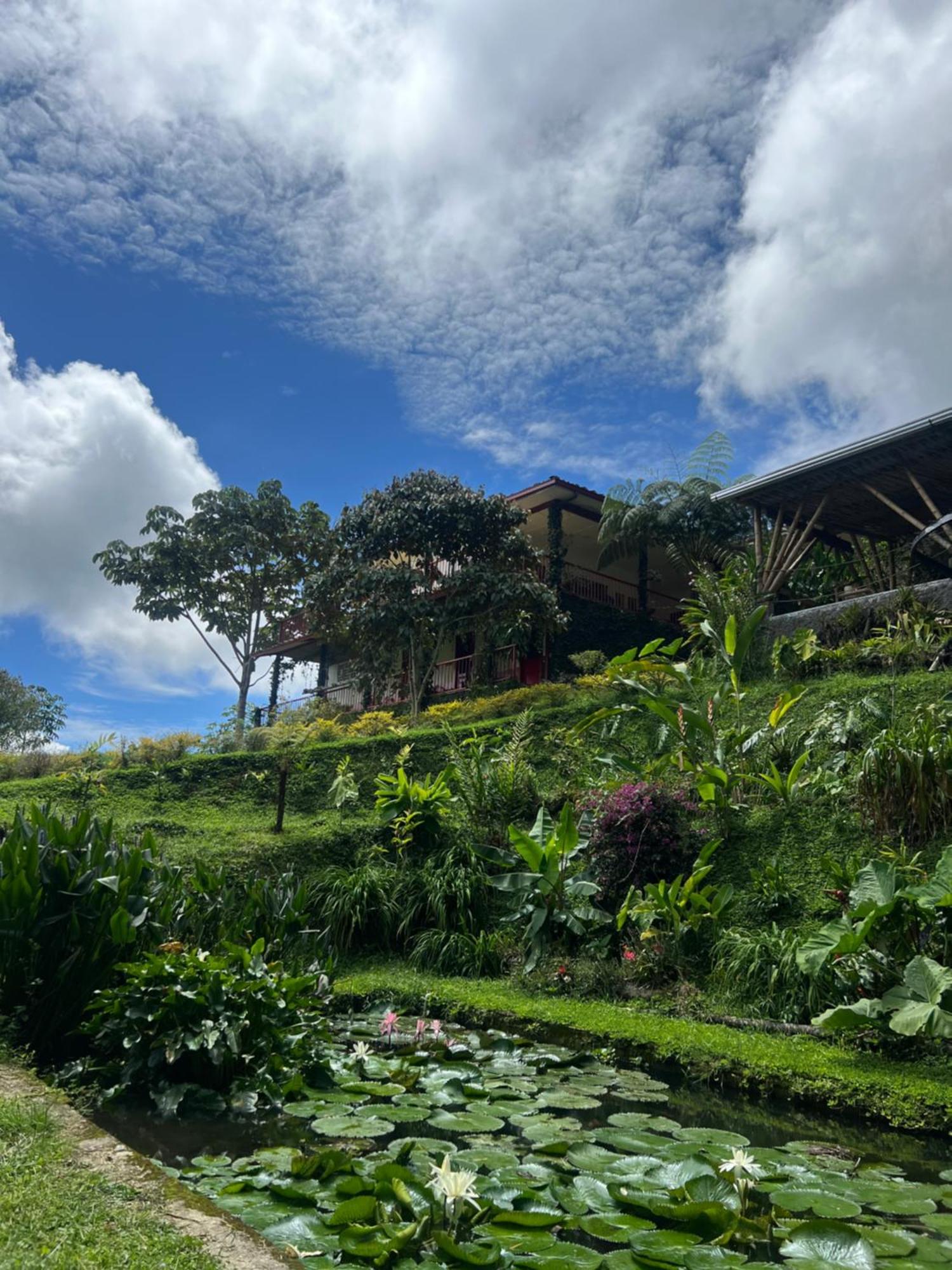 Lodge Paraiso Verde La Linda エクステリア 写真